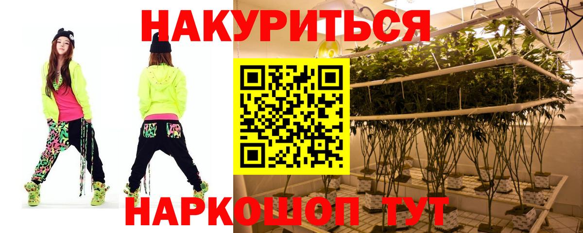 Шишки марихуана SATIVA & INDICA  Марихуана план  Марихуана семена  Шишки марихуана индика  Магнитогорск  Вход с VPN 